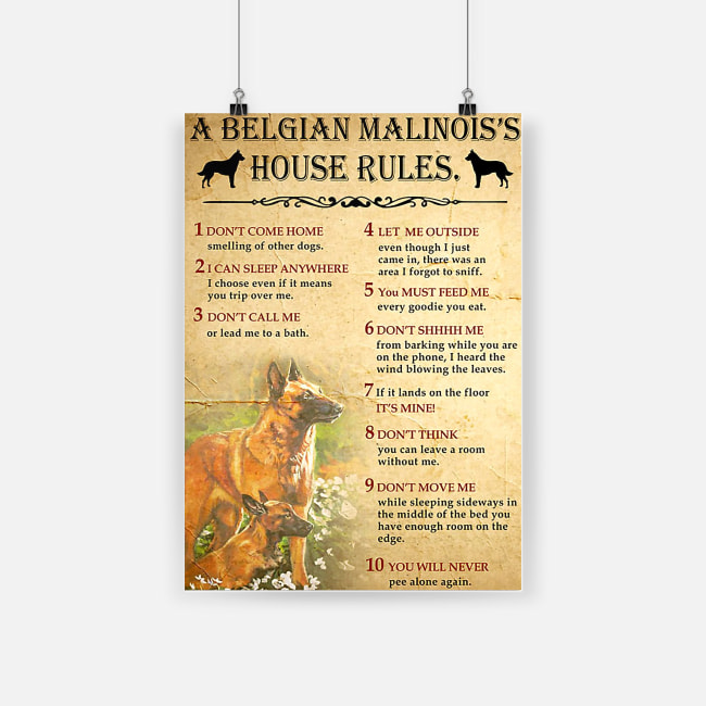 A belgian malinois's house rules poster 4