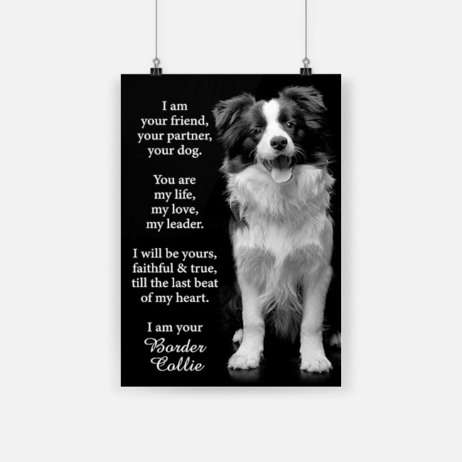 I am your friend dog border collie poster 1