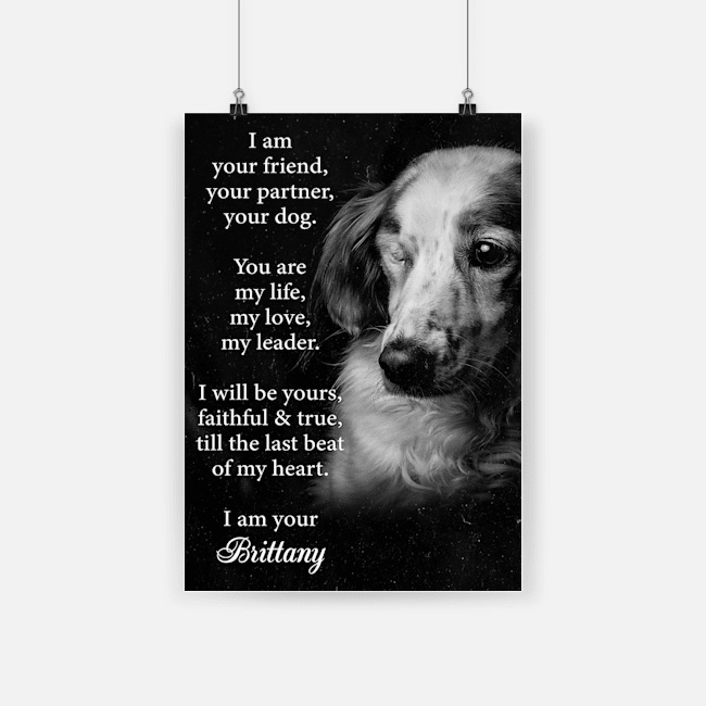 I am your friend dog brittany poster 1