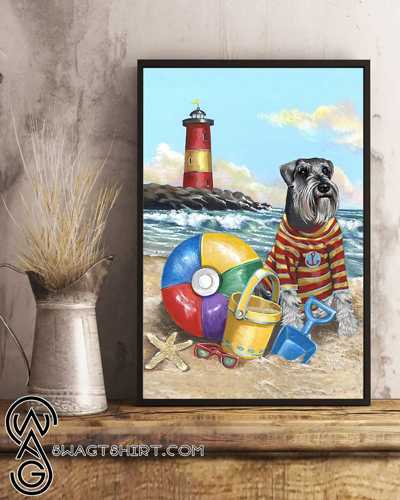 Schnauzer puppy play on the beach poster