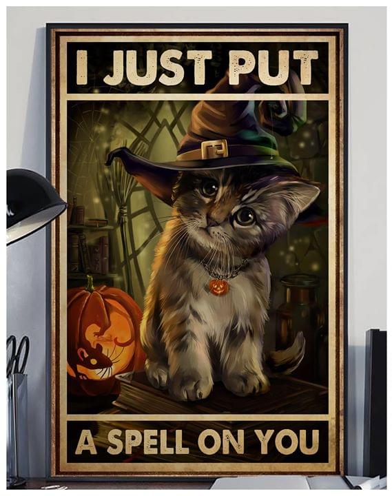 Cat wizard i just put a spell on you halloween poster 4