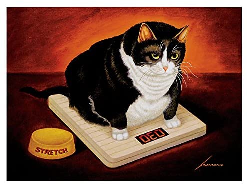 The picture peddler stretch kelley lowell herrero cat poster 2