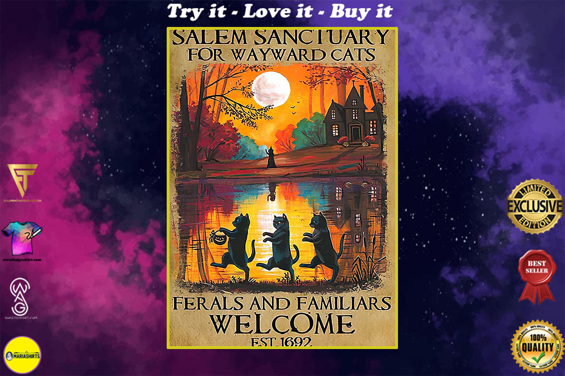 vintage salem sanctuary for wayward cats ferals and familiars welcome est 1692 black witch cat poster